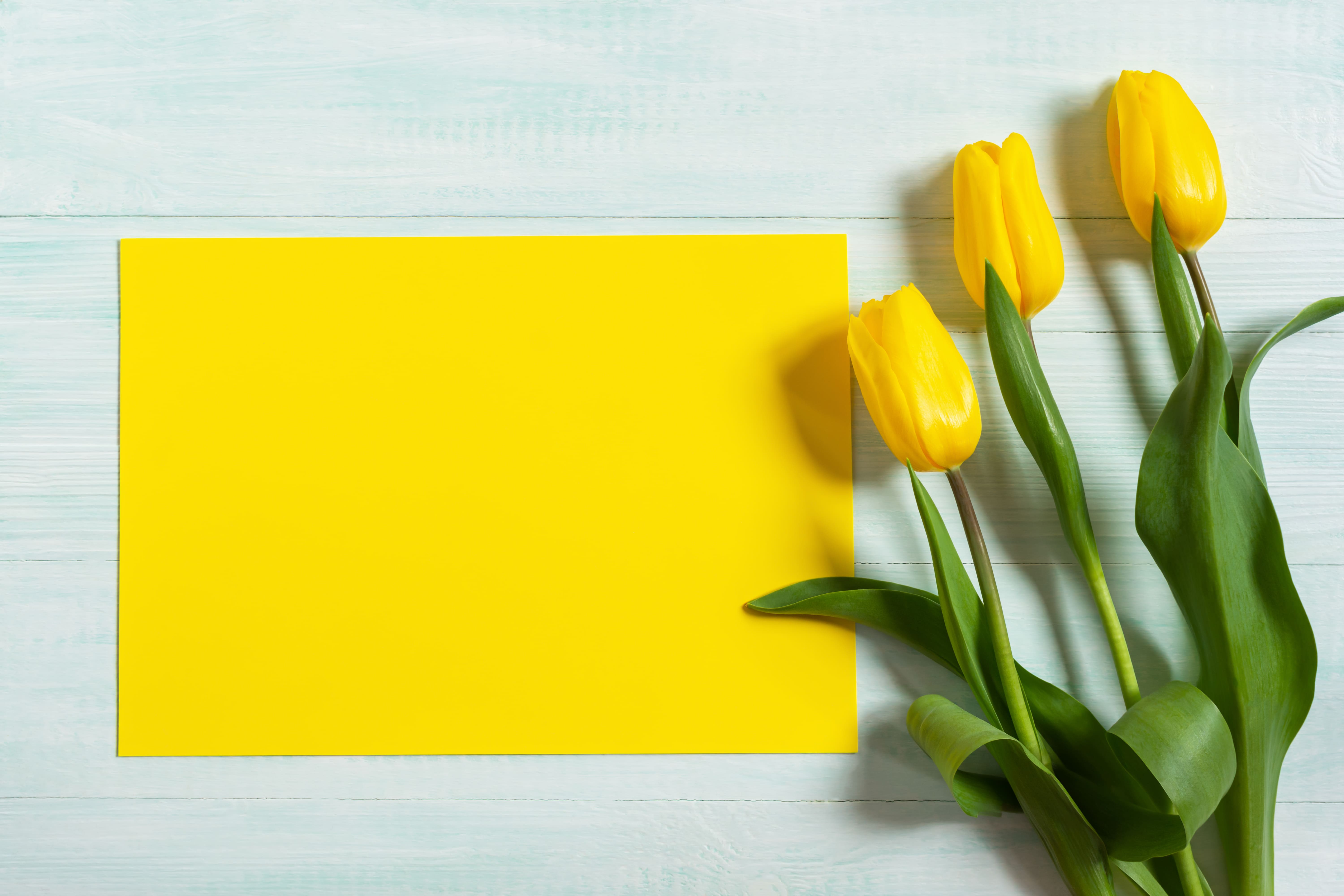 Tadımlık Mindfulness Atölyesi