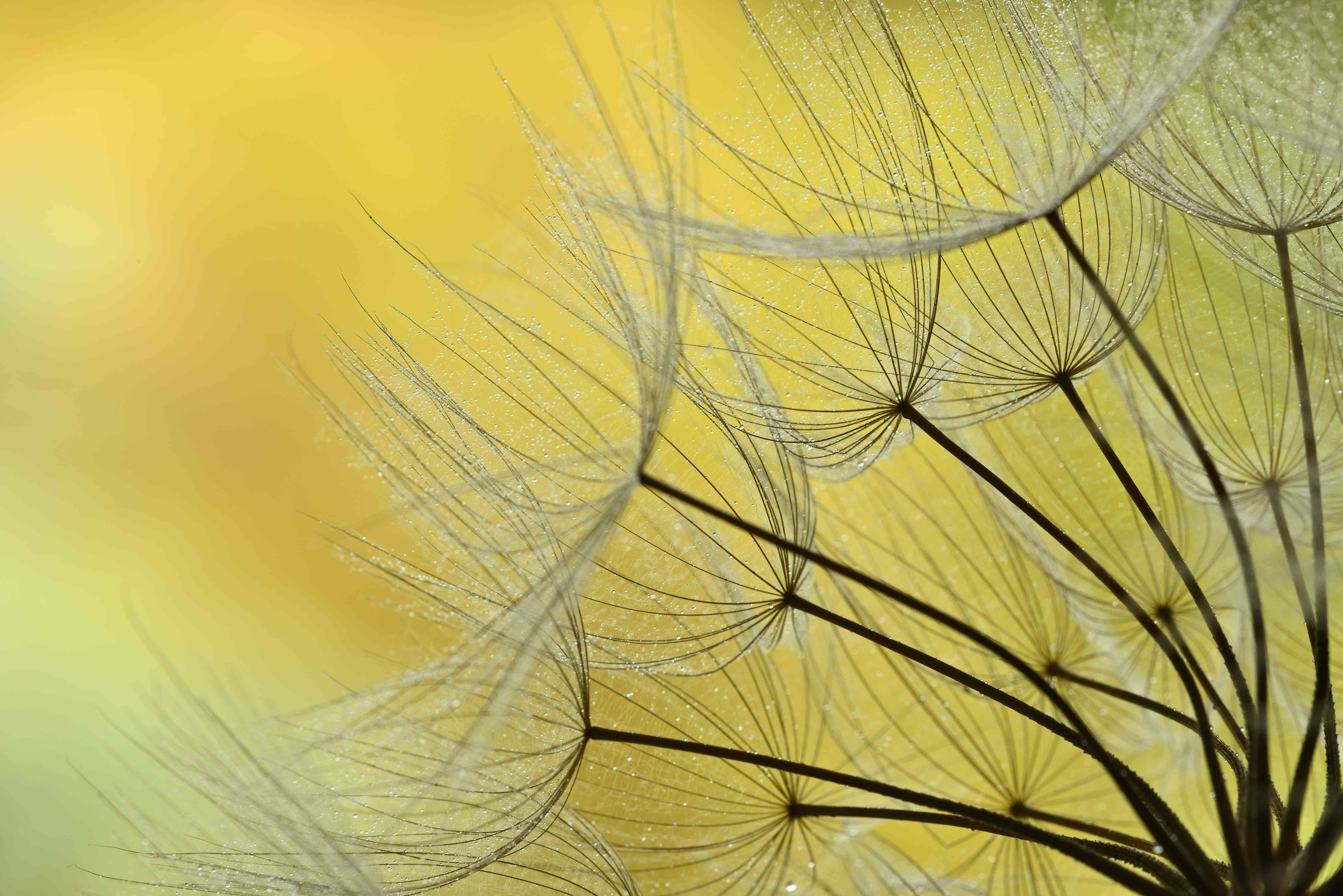 İleri Düzey Mindfulness Eğitimi